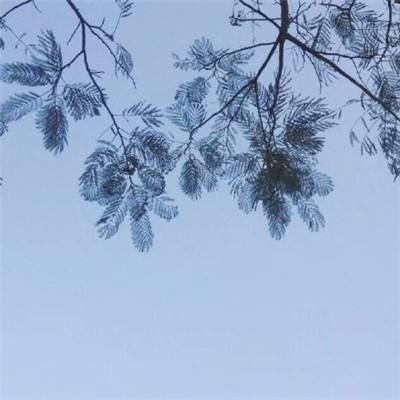 风色幻想命运传说测试版下载
